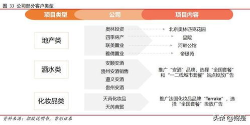 兆訊傳媒研究報告 開拓不止，賽道領航 —— 數(shù)字廣告發(fā)布的變革先鋒與未來引領者